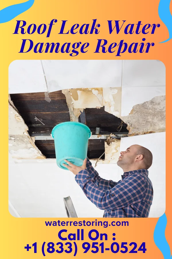 Roof Leak Water Damage Repair in Scotland, SD